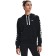 Hoody Under Armor Rival Fleece CB Hoodie Female, size 40-42 (1365861-001)