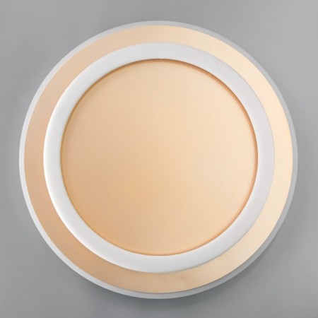 Luer with PDD "Ringo" 2XLED 112W 3000-6000K gold 50x50x5 cm BayerLux-5