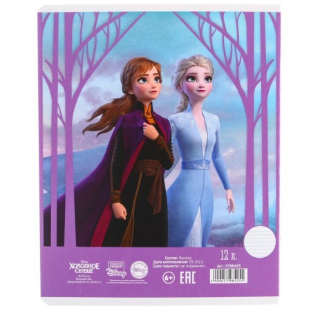 Notebook in a ruler of 12 sheets, 5 types of mix, cover coated cardboard, cold heart-8