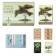 Board game Transformation "Way to Health", 68 cards, playing field, 16+