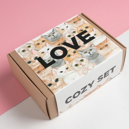 Gift female "Cozy Set" blanket and accessories-7