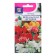 Flowers of Begonia "Versailles History", 10pcs