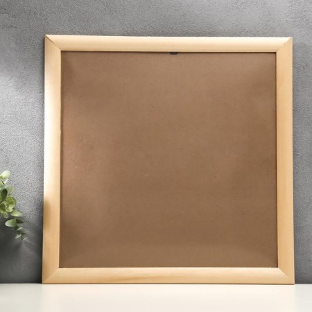 Lipa photo frame 40x40 cm ash (plastic screen)