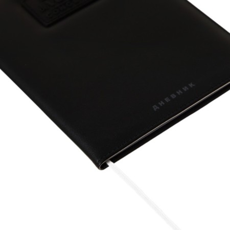 Universal diary for grade 1-11 Modern Concept, solid cover, artificial leather, silkography, liesse, 80 g/m2-2
