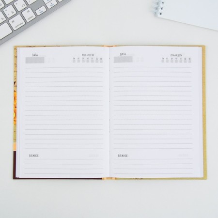 Diary "Golden Teacher", A5 format, 80 sheets, mix-2
