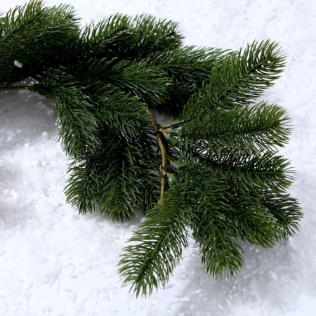 Decor "Branch of the Vysya spruce"-3