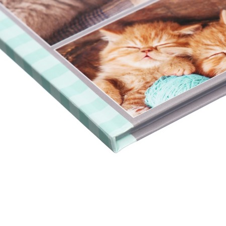 Universal diary for grades 1-11, "kittens", solid cover 7BC, glossy lamination, 40 sheets-3