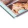 Universal diary for grades 1-11, "kittens", solid cover 7BC, glossy lamination, 40 sheets