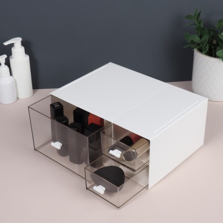 BASIC organizer for storage, multi -level, 3 sections, 22.9 × 17.5 × 10 cm, white/transparent color-1
