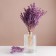 Set of dried flowers "chandra", banch length 40 (+/- 6 cm), lilac