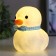 Night "Duck" LED 1W from 3XAG10 batteries white-blue 10x8x11 cm Risalux