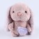 Soft toy in showbox, bunny, mix