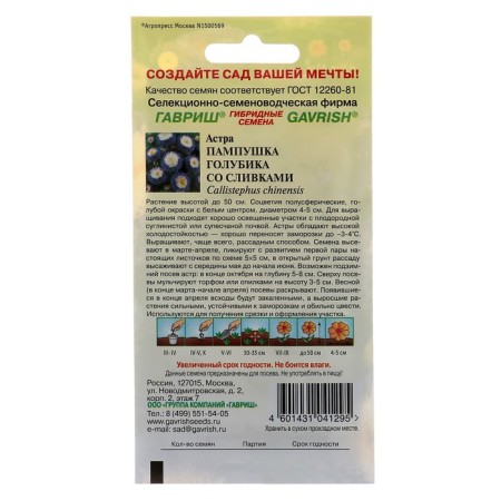 Flowers of Astra Pampushka blueberries with cream, pomponal, o, 0.3 g-1