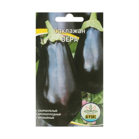 Eggplant seeds "Vera" Agreks are early, large -fruited, high -yielding, for the garden