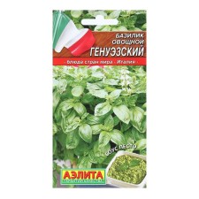 Basil seeds of the vegetable 