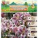 Lilia Asian Kashpo "Trendy Santiago", district 12/14, 2 pcs, spring 2024