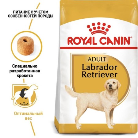 Dry food RC Labrador Adult for Labrador, 3 kg-2