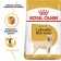 Dry food RC Labrador Adult for Labrador, 3 kg