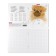 Notebook 24 sheets in the Erichkrause "Druzhok" cage, covered cardboard, an offset unit, whiteness is 100% whiteness, mix
