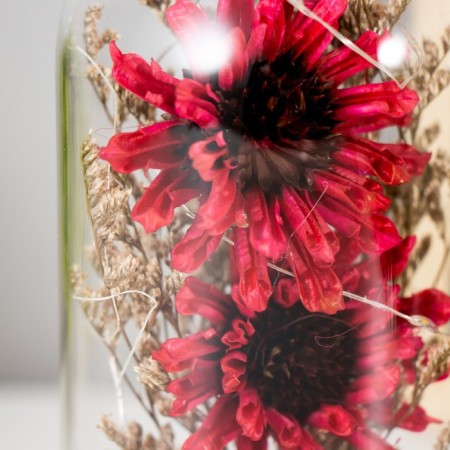 Nightlight "burgundy flowers" LED from batteries 3xlr44 10x10x20 cm Risalux-3