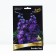 Delphinium High Delphis Paue, Rr. I, 1 pc, Spring 2025