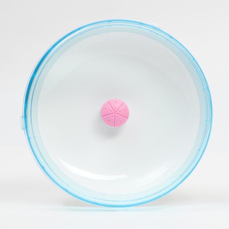 Wheel for rodents are quiet, 15 cm, color mix-9