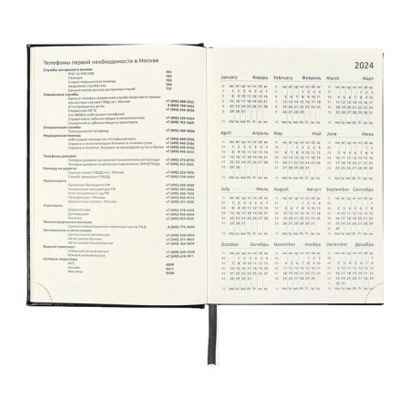 Dated diary 2024 A5 176 sheets, Devente.symbol, firm artificial leather cover, foil, lies, cream block 70 g/m2, blue-8