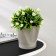 Kashpo for flowers with an insert "lei", 2.2 l, color beige