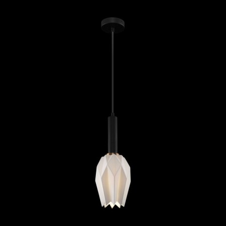 Suspended lamp Freya FR9001PL-01B Delta, 200x260x1120 mm, E27, 1x60W, black color-2
