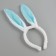 Carnival rim of ears Bunny, blue color