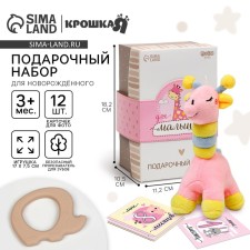 Gift set: soft toy+teether+cards for the photo 