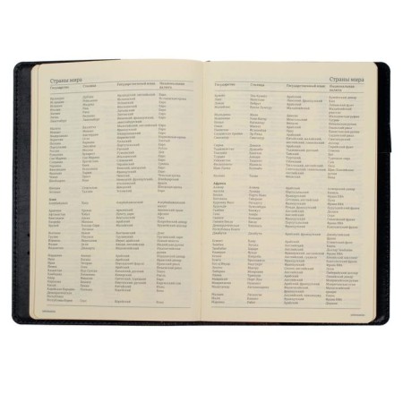 Diary Semi -dated A5, 208 PROFY sheets, reclaid leather, replaced block, gold cut, black-14