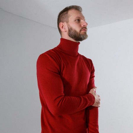 Male jumper SL, 46, burgundy-1