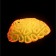 Decor for the Aquarium Coral Faviidae, 5 x 2.5 cm, silicone, orange