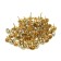 Tundra nails, decorative, 11x17 mm, antique gold, 50 pcs