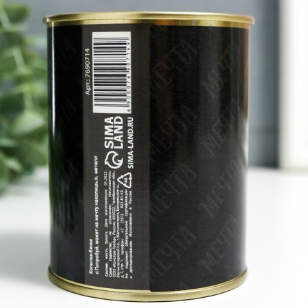 Pigging bank Metal "Try it, maybe you will save up for a dream"-2