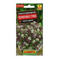 Alissum flower seeds 