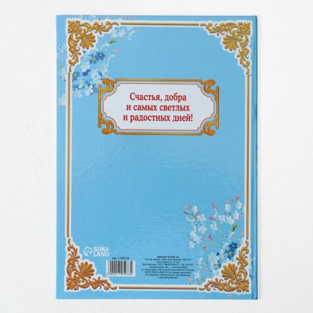Diploma "Best Educator", 21.5 × 15.2 cm-2