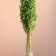 Set of dried flowers "oats", banch length 60-65 (+/- 6 cm), green