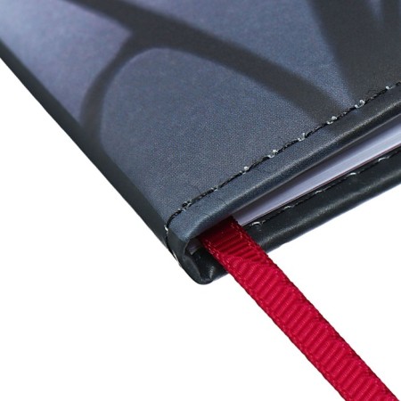 Diary 1-11 Grade "Magnolia", artificial leather, with lisasa, 48 sheets-2