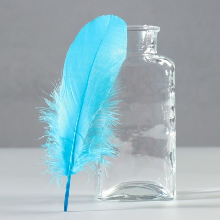 A set of feathers of the goose 13-18 cm, 20 pcs, light turquoise
