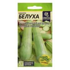 Semen zucchini 