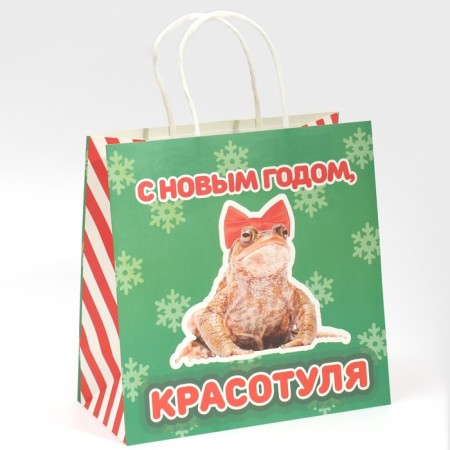 Gift package "Beauty", 22 x 22 x 11 cm, new year-1