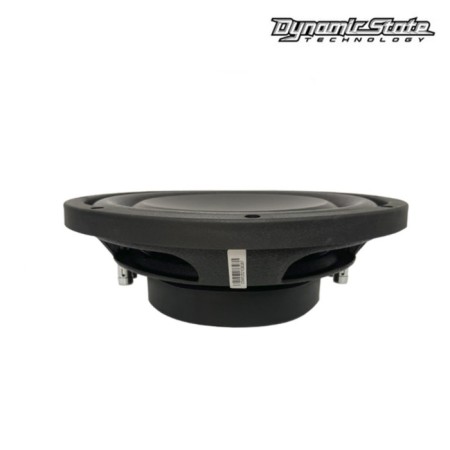 Dynamic State CSW-S25 Custom D2 subwoofer, without a box, passive, 10 "/ 256 mm, max 700 WT-1