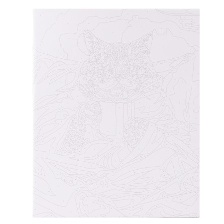 Picture on numbers on canvas with a subframe "Morning cat", 40 x 50 cm-1