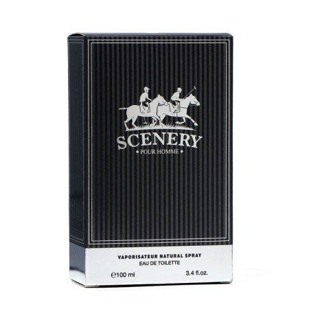 Male toilet water SCENERY, 100 ml-4