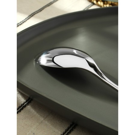 Spoon of stainless steel "Mario", length 20 cm, silver color-3