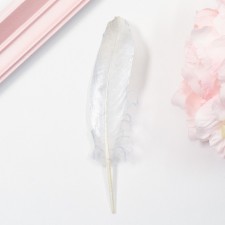 Feathers for decor, silver full color, 13-15 cm 10 pcs