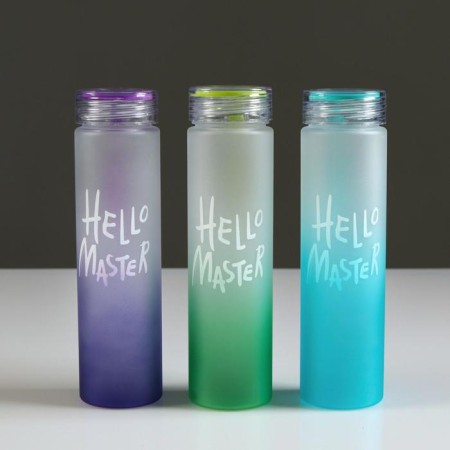 Water bottle, 500 ml, Hello Master, 22 x 6 cm, mix-3