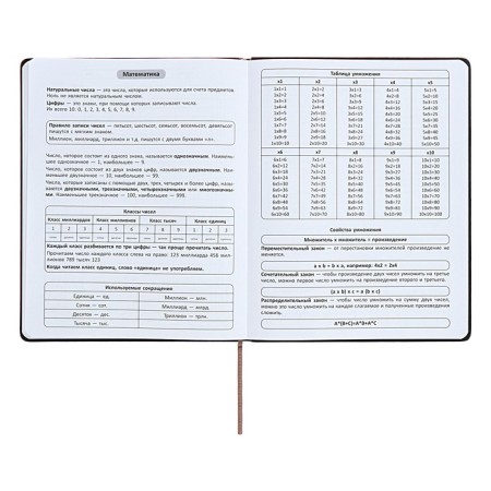 Universal diary for grades 1-11 "strip", solid cover of artificial leather, silkography, lies, 48 ​​sheets, chocolate+turquoise-7